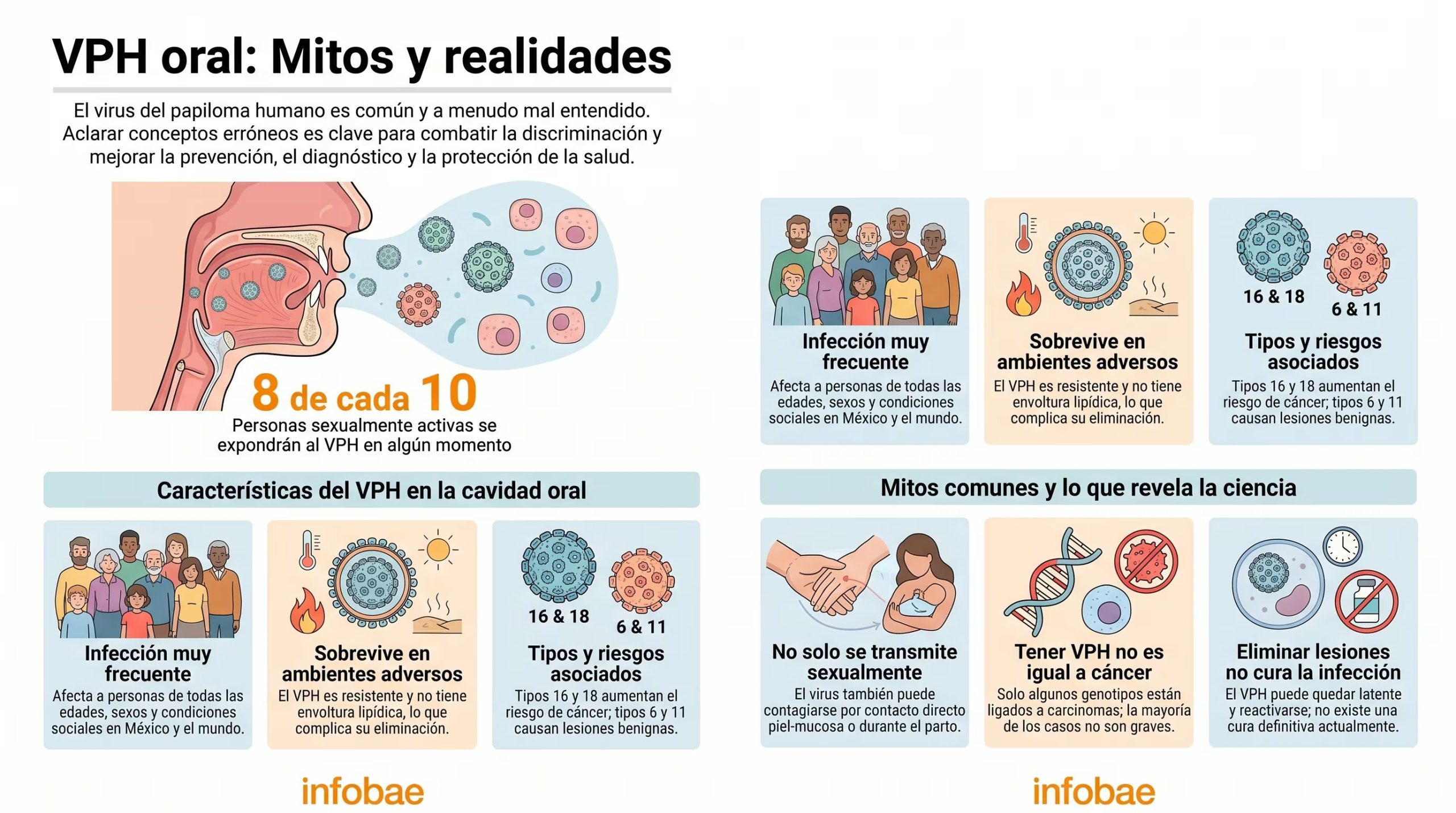 Infografía que detalla las características del VPH en la cavidad oral, desmiente mitos comunes y explica las formas de transmisión del virus, resaltando su impacto en la salud pública. (Imagen Ilustrativa Infobae)