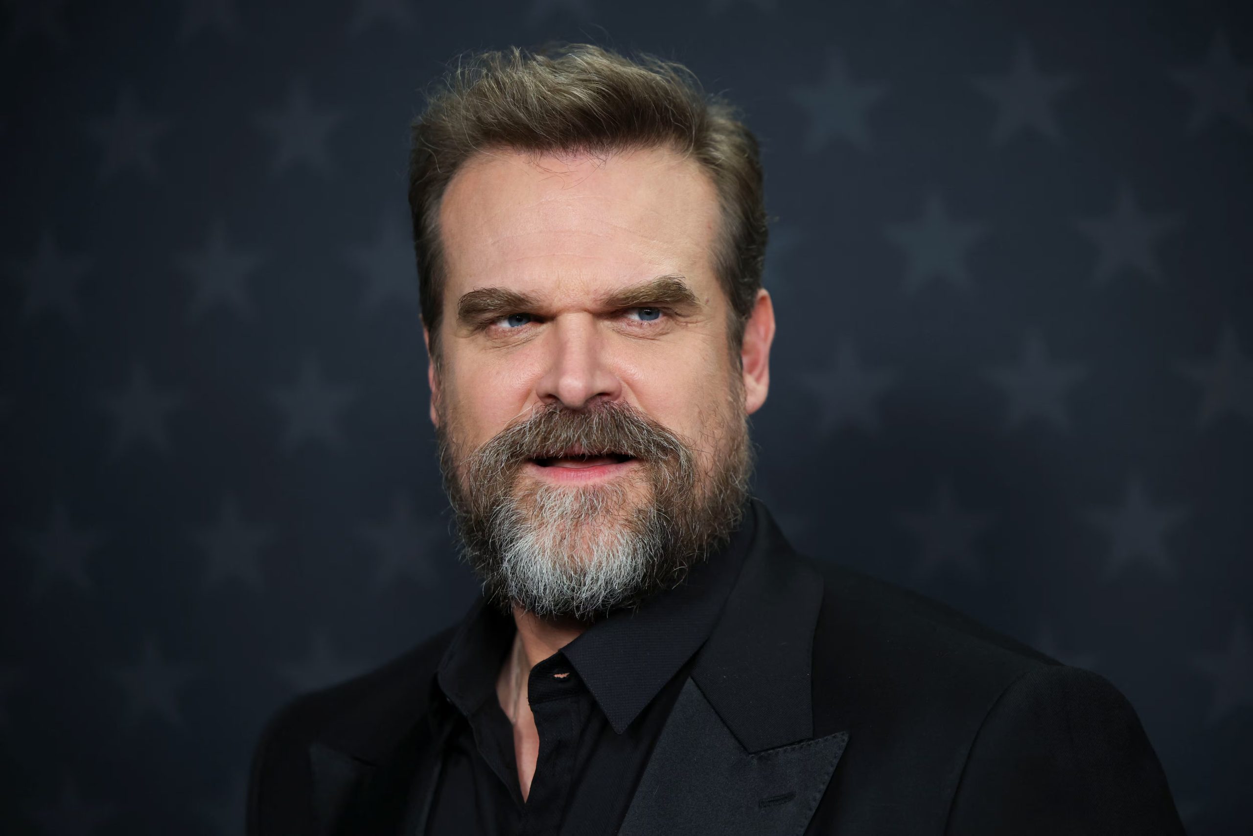“DTF St. Louis” le dio a David Harbour su primera nominación al Emmy y le permitió explorar un personaje atravesado por la vulnerabilidad (REUTERS/Daniel Cole)
