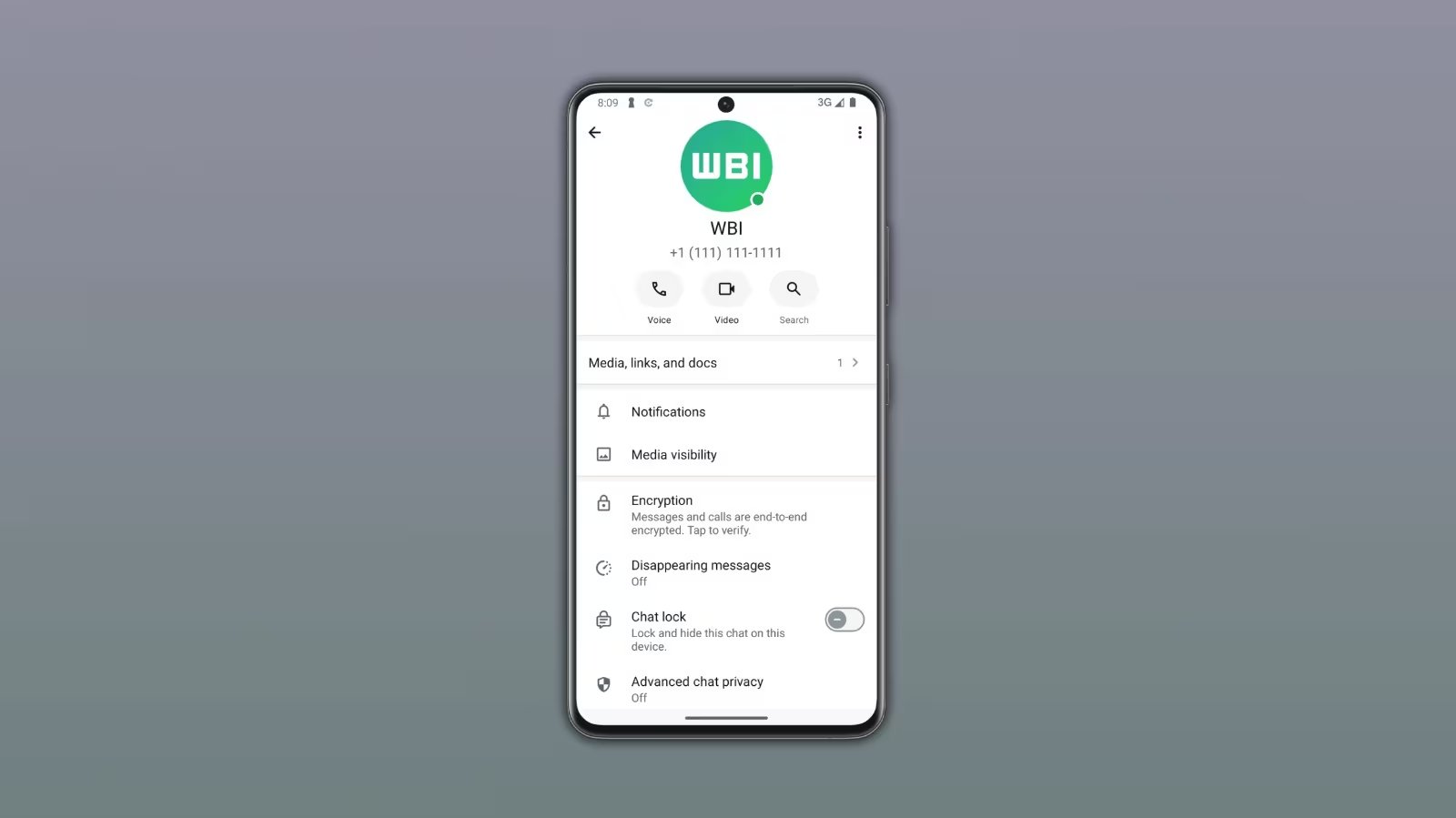 (WaBetaInfo)