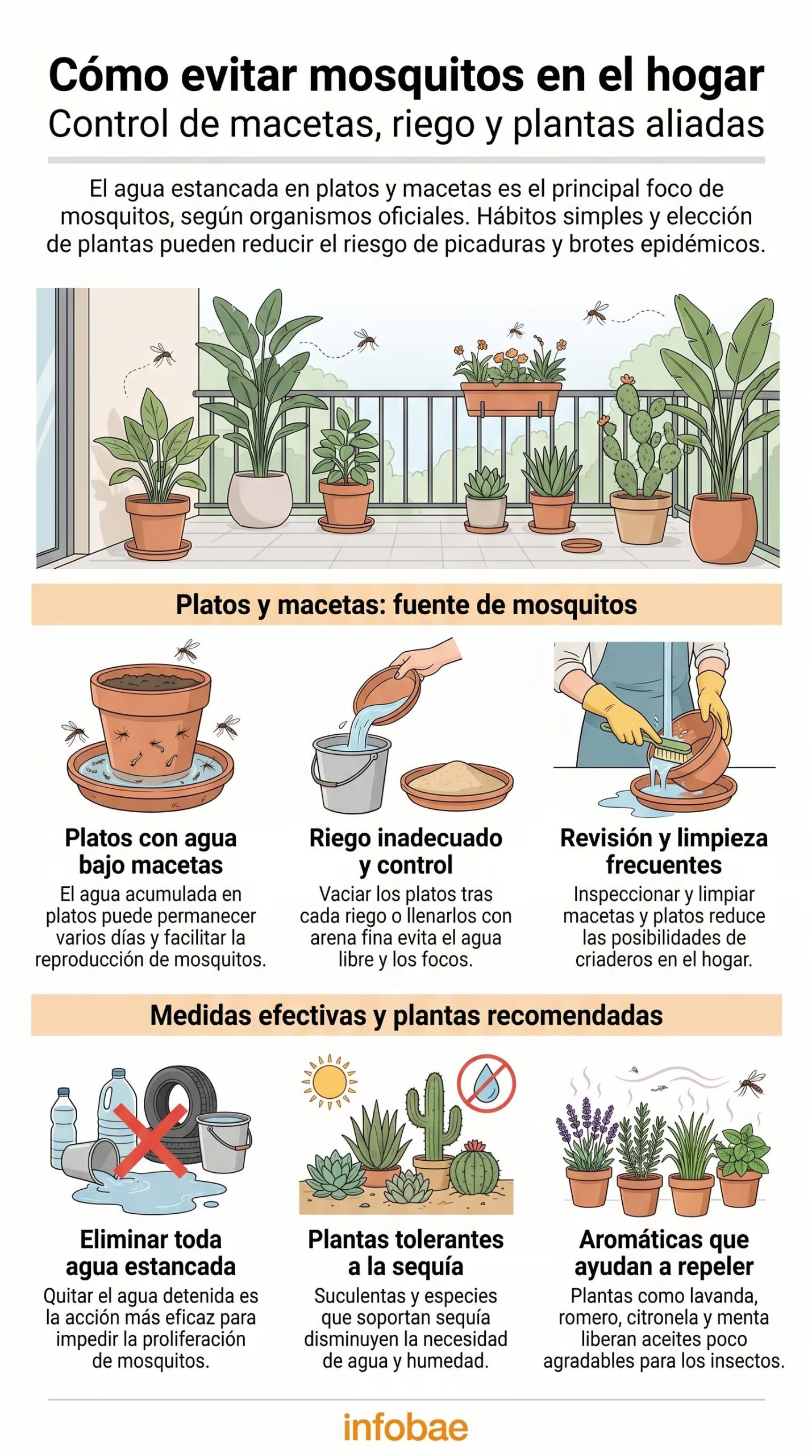 La infografía detalla métodos esenciales para el control de mosquitos, incluyendo el manejo del agua en macetas y la elección de plantas aliadas para un hogar seguro. (Imagen Ilustrativa Infobae)