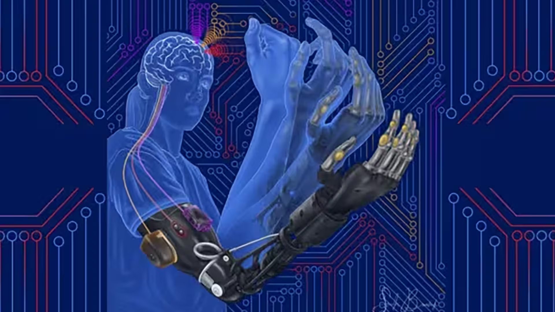La investigación sobre prótesis de miembro superior señaló que el cerebro organiza la información sensorial en gestos integrados como abrir, cerrar o sostener un objeto (Cleveland Clinic)