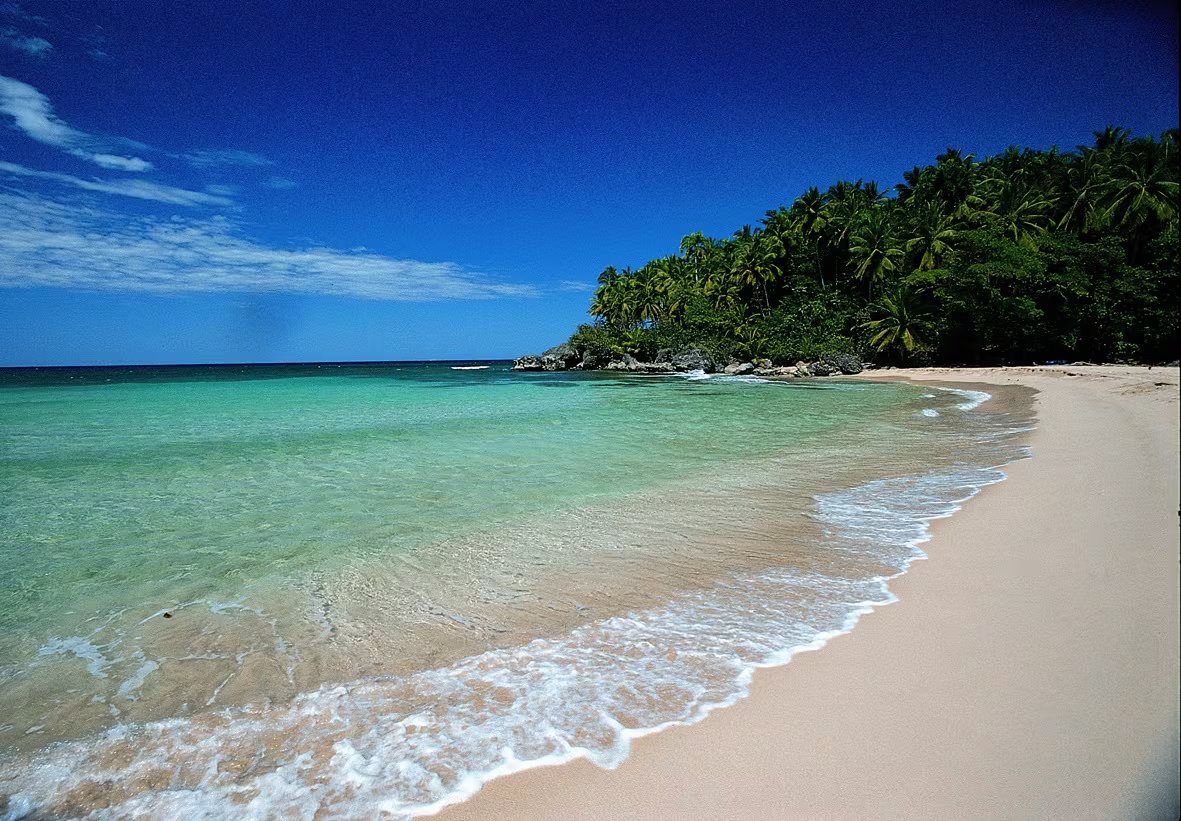 El análisis químico no detectó metales pesados tóxicos como plomo, arsénico, cromo, níquel y cobalto en las playas evaluadas de República Dominicana. (Foto: cortesía)