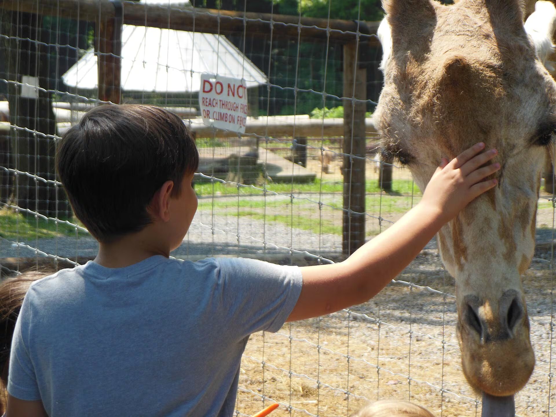 Imagen de archivo de un niño acariciando una jirafa en el zoológico de Virginia Occidental. (Wikimedia Commons)