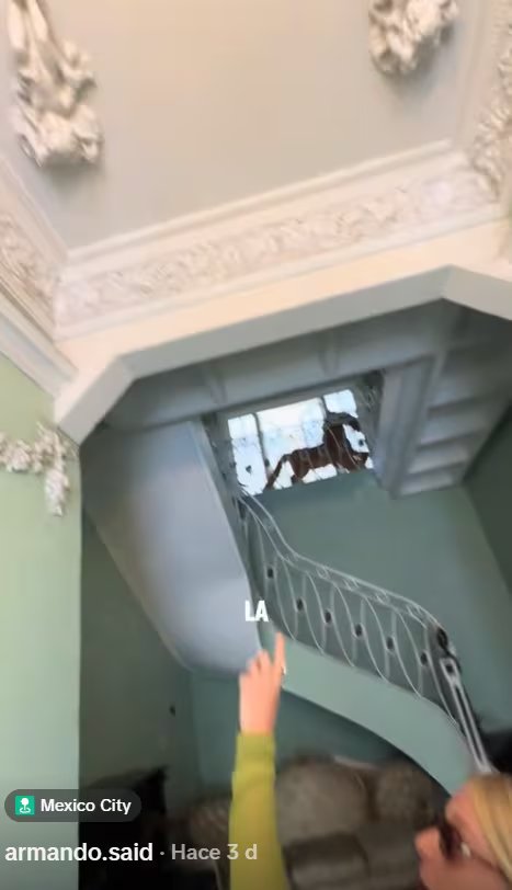(Tiktok / @armando.said)