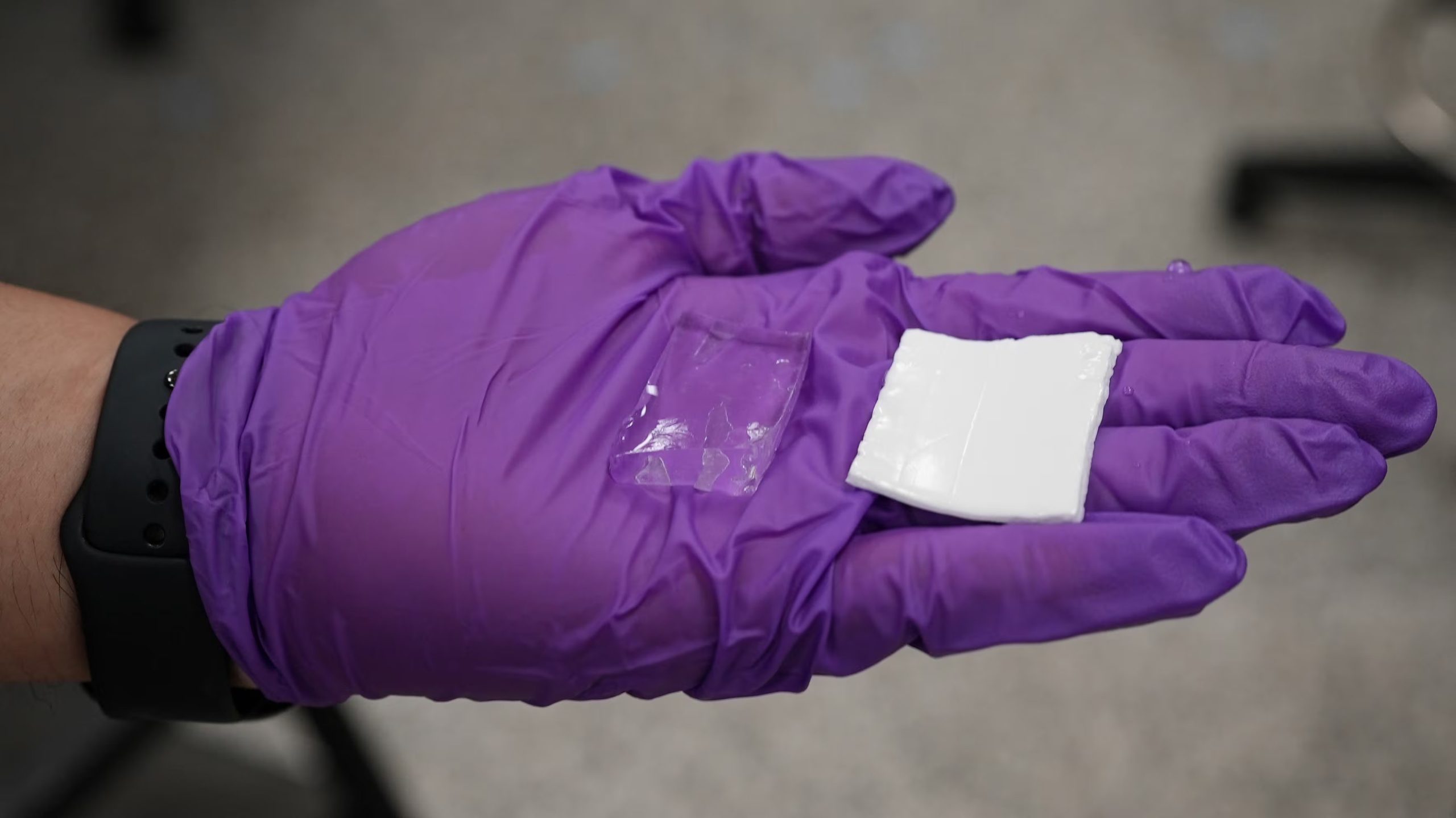 El nuevo diseño del hidrogel (a la derecha) se compara con un hidrogel anterior (transparente) (Fotografía facilitada por Melanie Gonick, MIT)