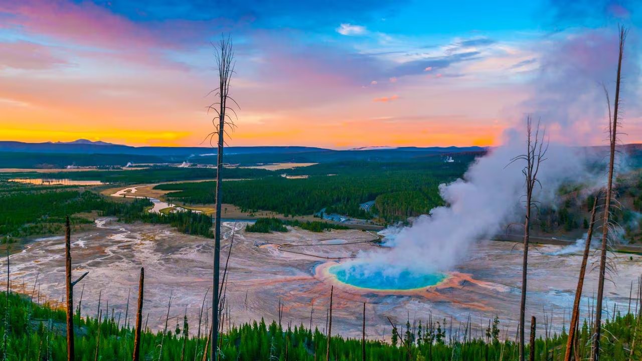 Visitantes en el Parque Nacional de Yellowstone deben respetar la distancia mínima de seguridad con los bisontes, especialmente durante la temporada de apareamiento, cuando estos animales incrementan su agresividad (Visit The USA)