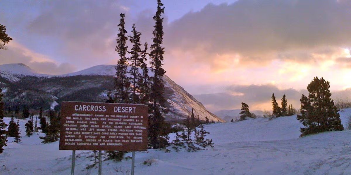 El paisaje de Carcross Desert combina arena clara y dunas con montañas, lagos y zonas de vegetación abundante del norte de Canadá (Wikimedia Commons)