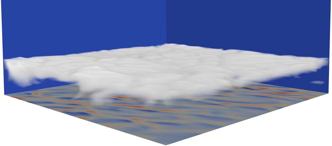Una representación 3D de una simulación de grandes remolinos, realizada por el equipo de investigación, muestra nubes estratocúmulos sobre el océano Pacífico. El plano inferior representa la flotabilidad de la superficie (Sheide Chammas/Google)