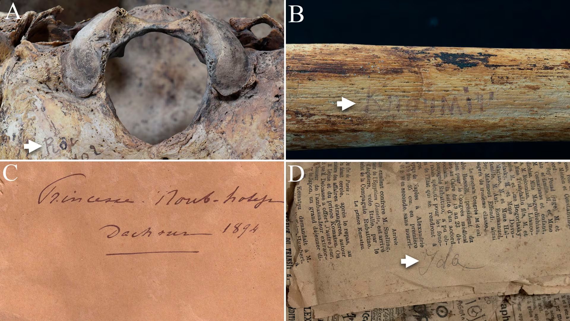 Los nombres de los miembros de la familia real escritos a mano en los propios huesos y en periódicos viejos del siglo XIX fueron la única clave para identificar los restos tras más de cien años de olvido (Frontiers in Environmental Archaeology)