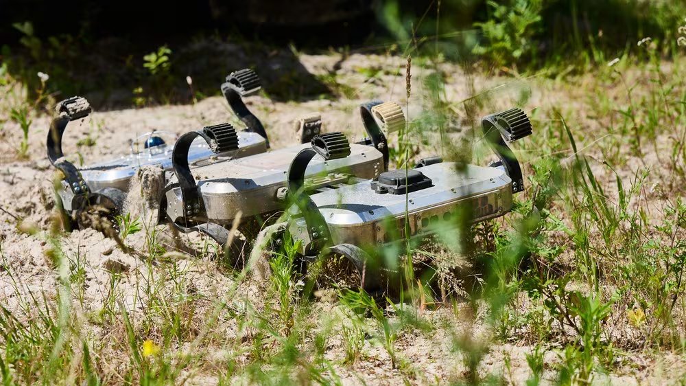 Un robot móvil diseñado por el Centro Aeroespacial Alemán (DLR) prueba su movilidad en un terreno arenoso con vegetación baja (Crédito: Centro Aeroespacial Alemán (DLR))