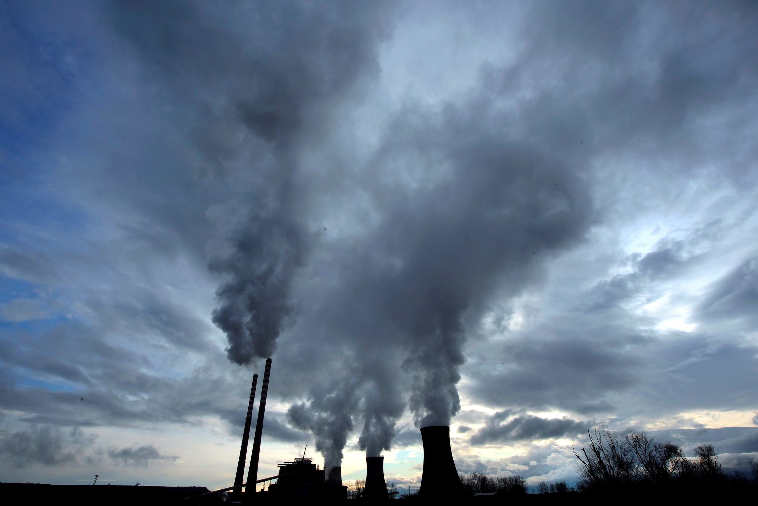 Cada crédito de carbono equivale a una tonelada de dióxido de carbono equivalente y exige demostrar una reducción, remoción o prevención real. (EFE/Georgi Livocski)
