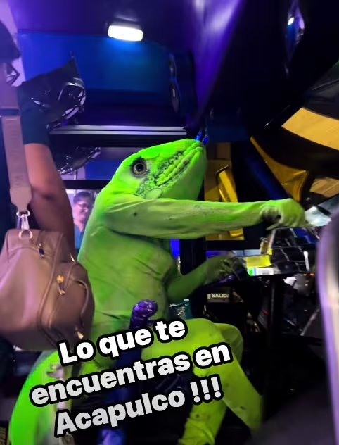 La creatividad del conductor desató miles de comentarios y convirtió un recorrido por el puerto en un fenómeno viral.
