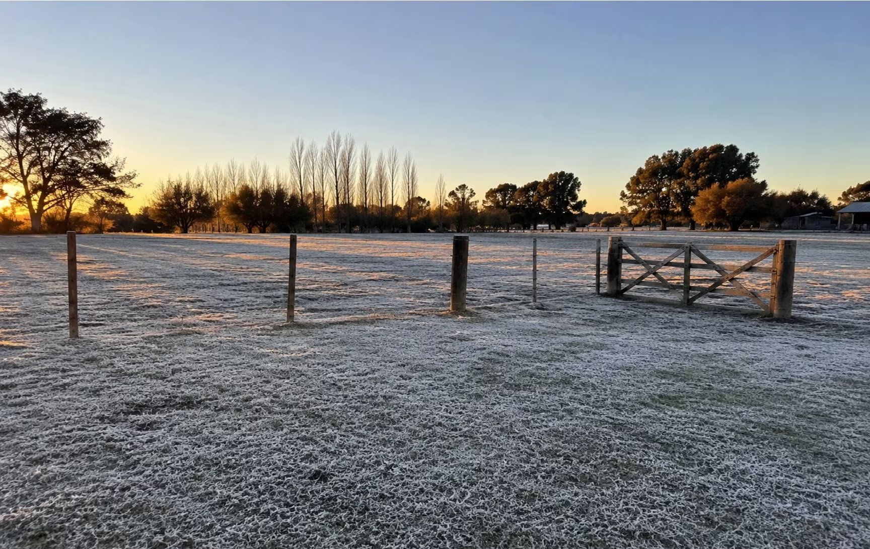 La nieve se forma cuando cristales de hielo en la nube se agrupan en copos y caen al suelo si el aire se mantiene siempre bajo cero en su recorrido (revista Chacra)