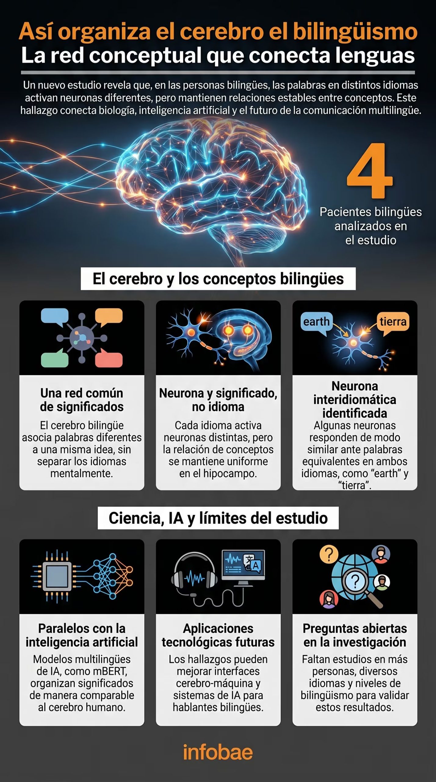 Un estudio del Baylor College of Medicine revela que el cerebro bilingüe organiza los significados en una red conceptual común, facilitando el cambio entre idiomas sin perder coherencia. (Imagen Ilustrativa Infobae)