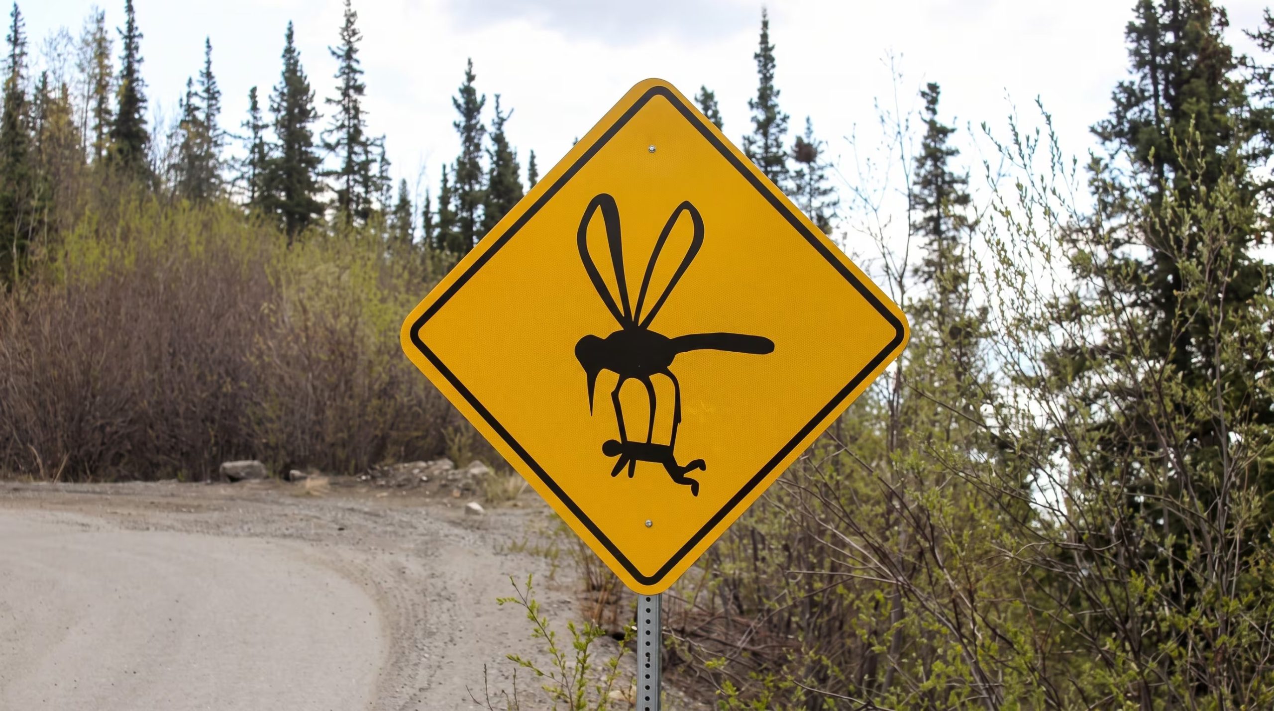 En Denali, Alaska, las señales de tránsito usan mensajes inusuales para combatir la fatiga al volante en trayectos largos y monótonos (Imagen Ilustrativa Infobae)