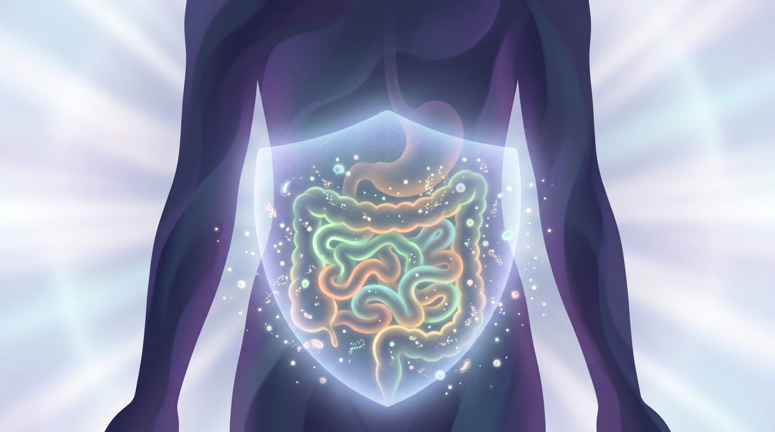Un desequilibrio de la microbiota intestinal puede causar problemas gastrointestinales, debilitar la inmunidad y reducir la absorción de nutrientes (Imagen Ilustrativa Infobae)