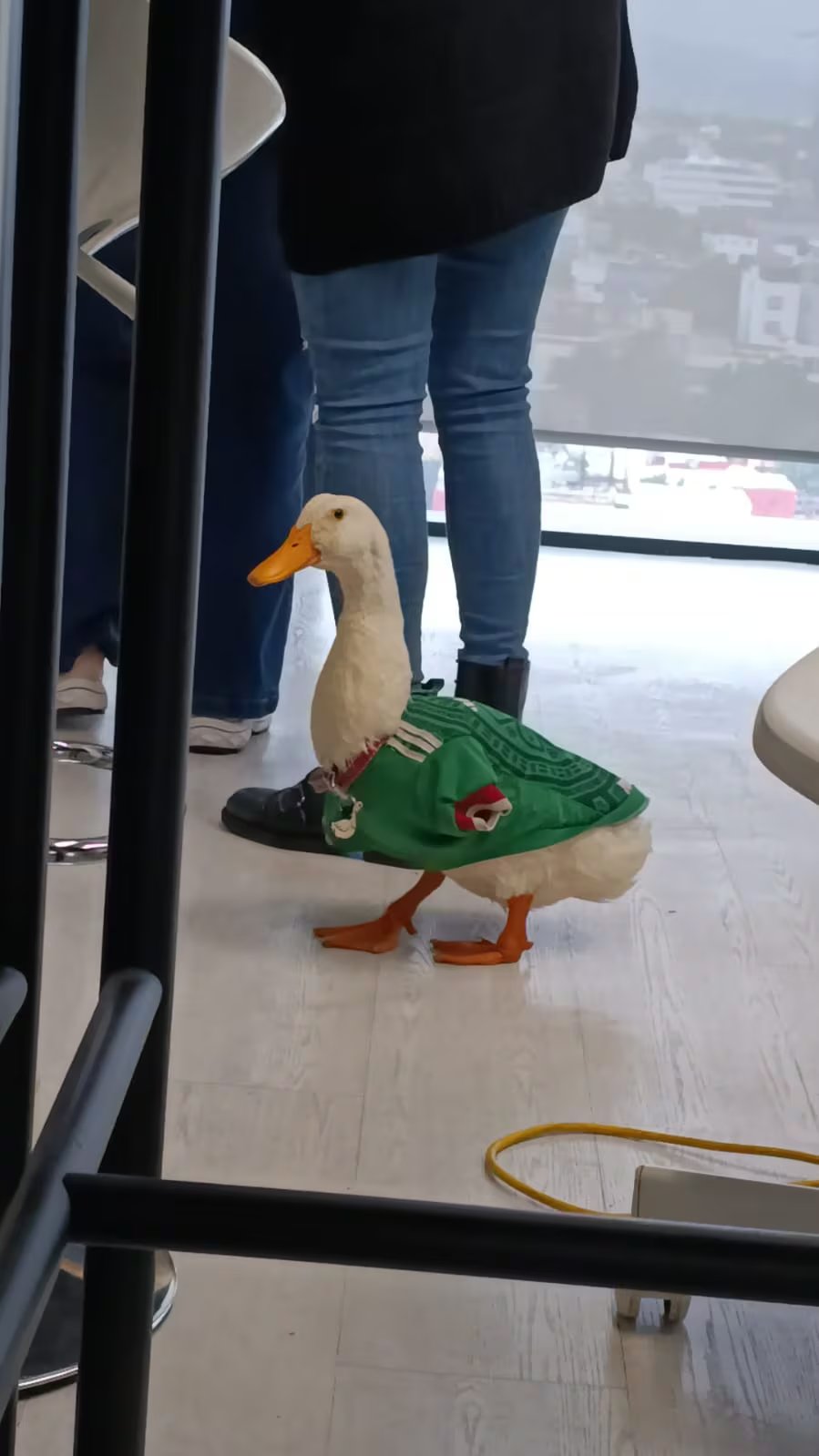 Pato Merlín visitó Infobae y su familia compartió anécdotas de su popularidad (Infobae México)