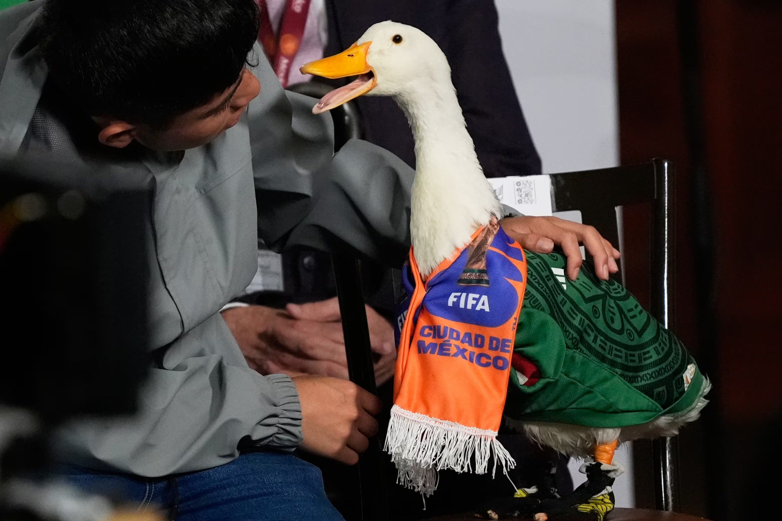 Christian Gomez interactúa con su pato Merlín, vestido con la camiseta de la selección mexicana de fútbol, mientras asisten a la conferencia de prensa diaria de la presidenta mexicana Claudia Sheinbaum en el Palacio Nacional de la Ciudad de México, el lunes 22 de junio de 2026. (AP Foto/Marco Ugarte)