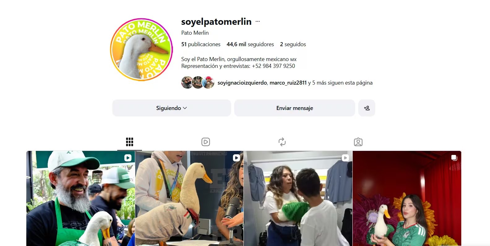 Estas son las redes oficiales del Pato Merlín (IG/ @soyelpatomerlin)