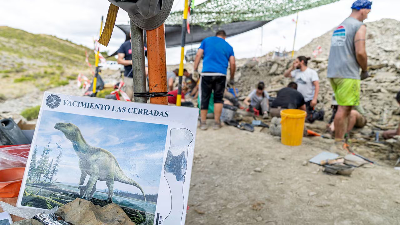 Un equipo de arqueólogos trabaja en las excavaciones del yacimiento 'Las Cerradas' en Igea en 2025. (Universidad de La Rioja)
