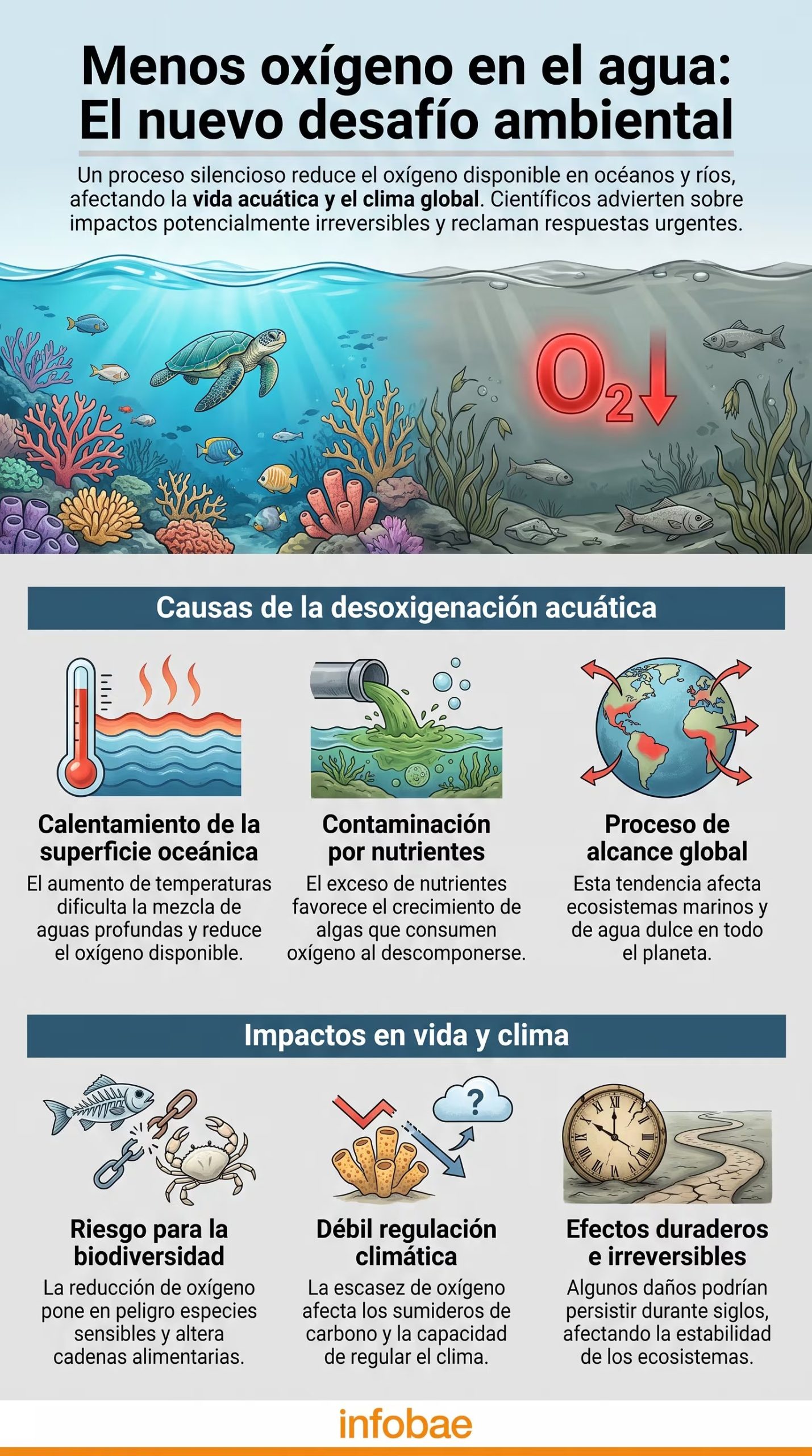 El esquema muestra las causas principales de la desoxigenación acuática, como el calentamiento oceánico y la contaminación por nutrientes, y sus efectos en la biodiversidad y la regulación climática global. (Imagen Ilustrativa Infobae)