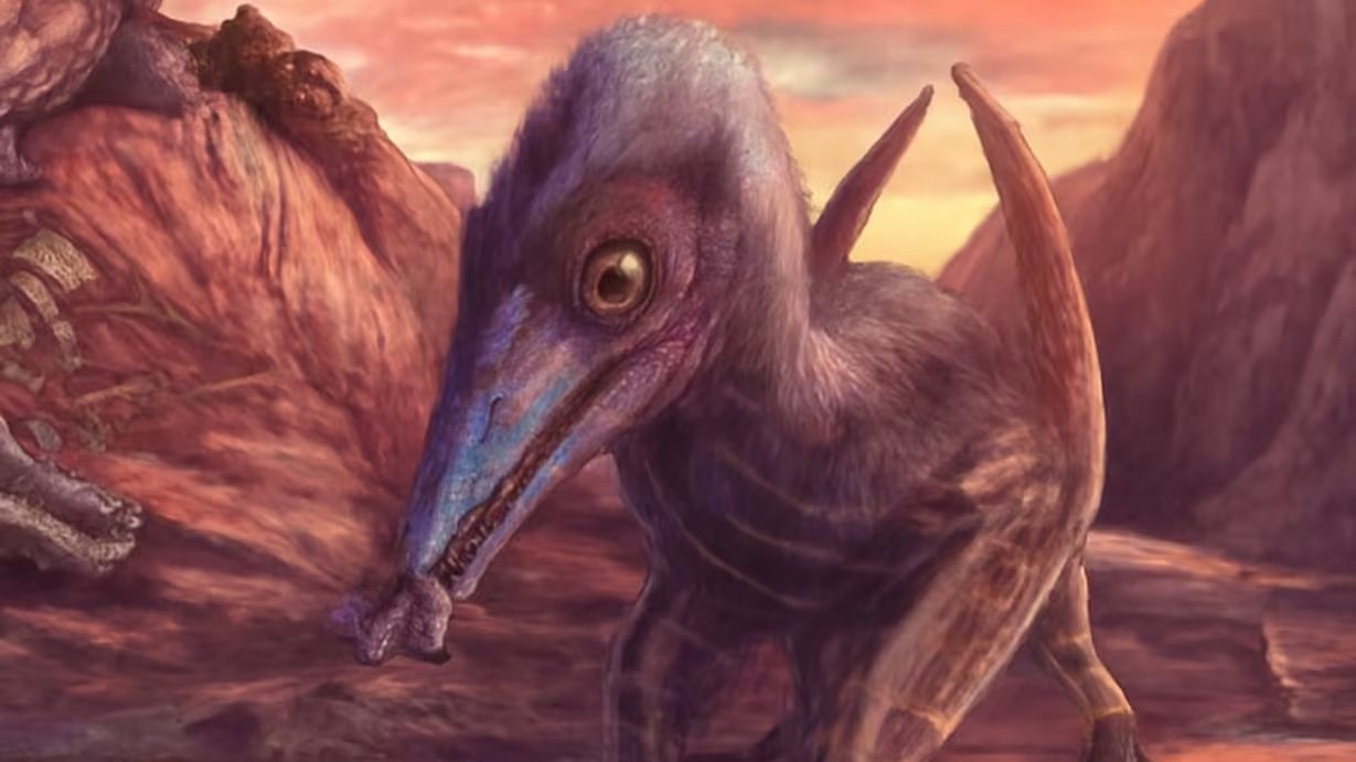El yacimiento presenta una inusual diversidad y tamaño de frutos y semillas fósiles, lo que revela cambios profundos en la reproducción vegetal durante la era de los dinosaurios.