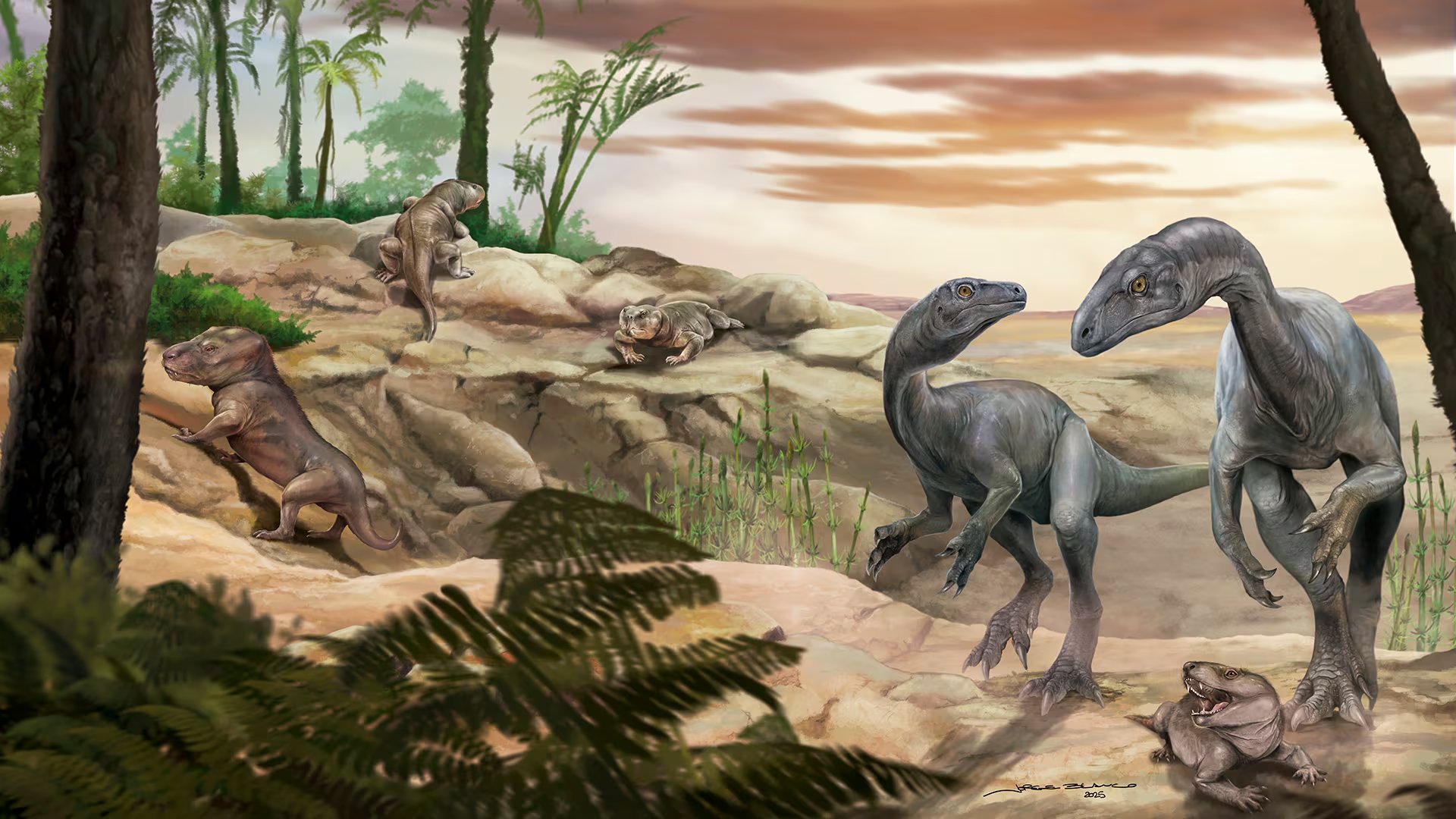 Los resultados sugieren que grandes dinosaurios y otros animales jugaron un papel central en la dispersión de frutos grandes y carnosos antes de la diversificación de los mamíferos.