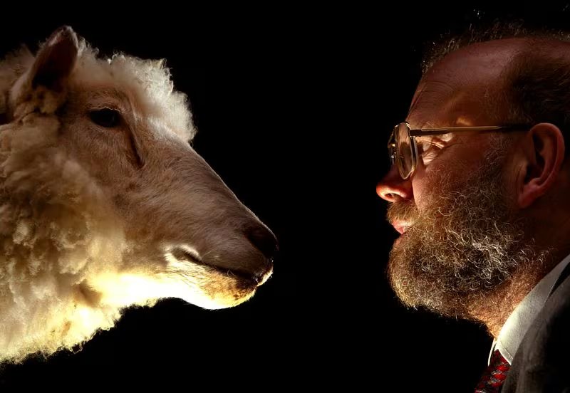 El Dr Ian Wilmut mirando el cuerpo embalsamado de la oveja Dolly, el primer mamífero clonado en la historia (REUTERS/Jeff J Mitchell)
