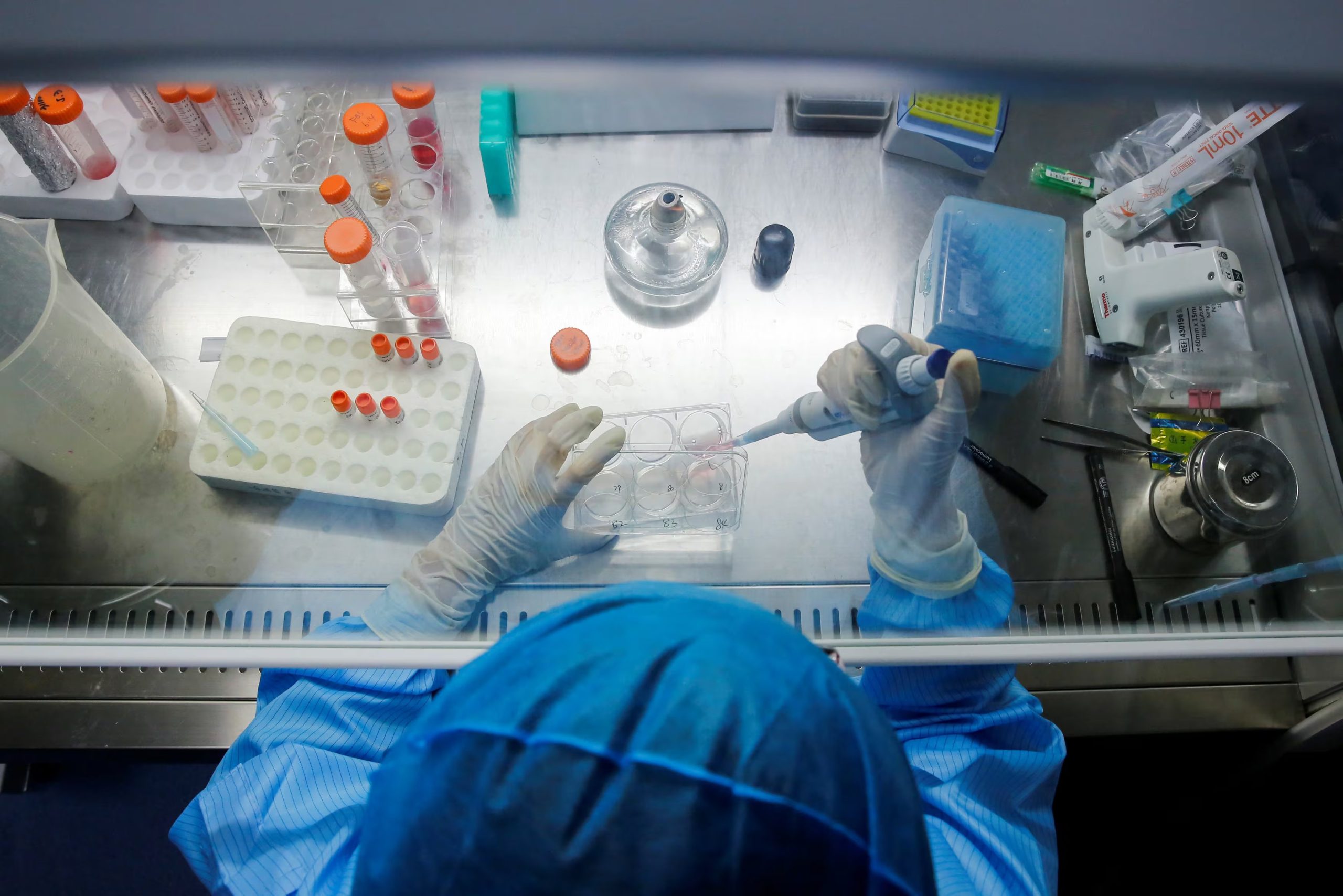 Una técnica trabaja en un laboratorio de biotecnología especializado en la clonación de perros (REUTERS/Thomas Peter/File Photo)