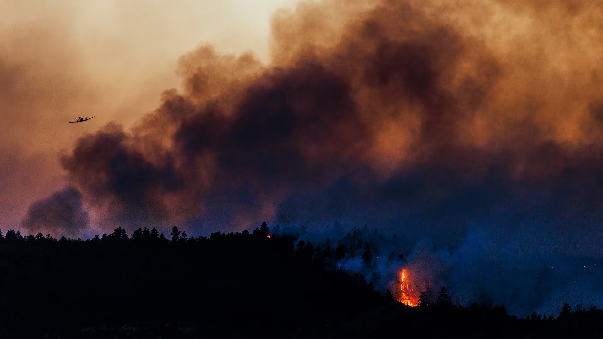 La OMM indicó que no existen pruebas de que el cambio climático incremente la frecuencia o intensidad de El Niño, aunque puede amplificar sus efectos (AFP)