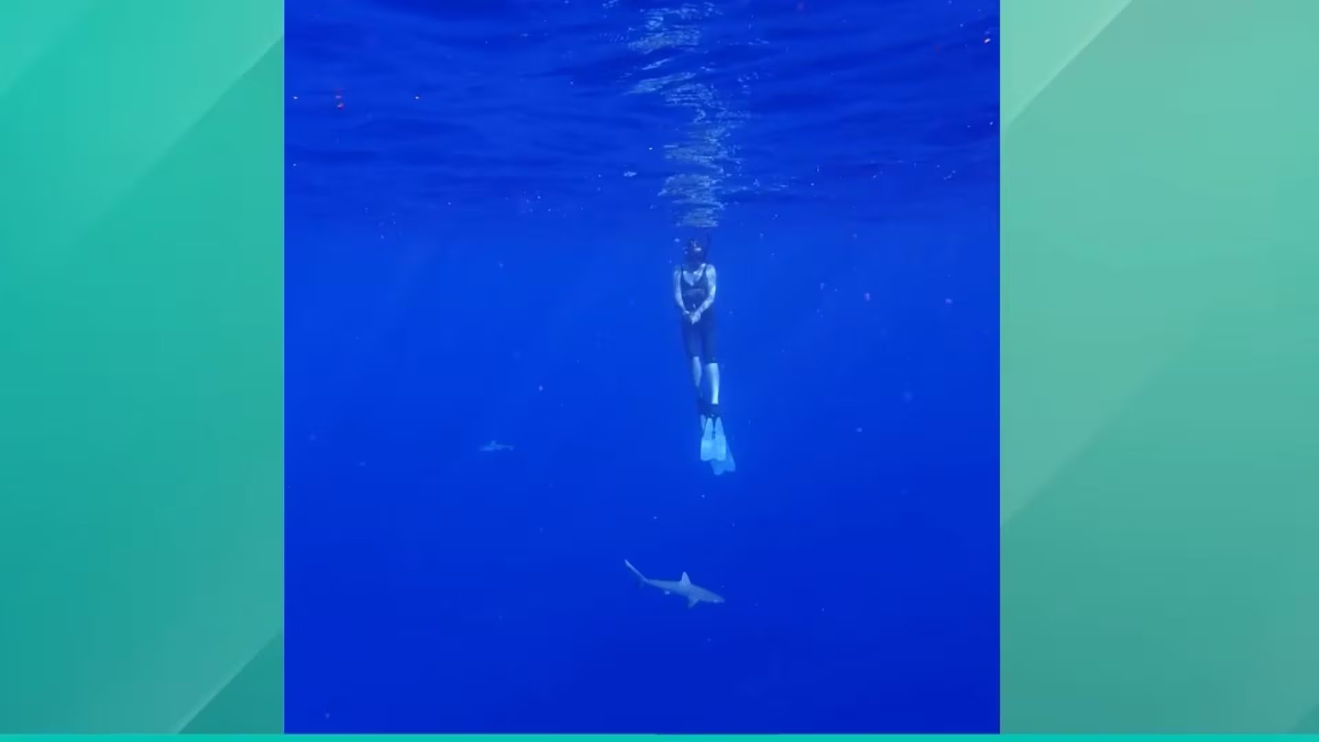 La especialista en conservación marina tenía experiencia con el buceo en apnea (Captura de video/ITV)