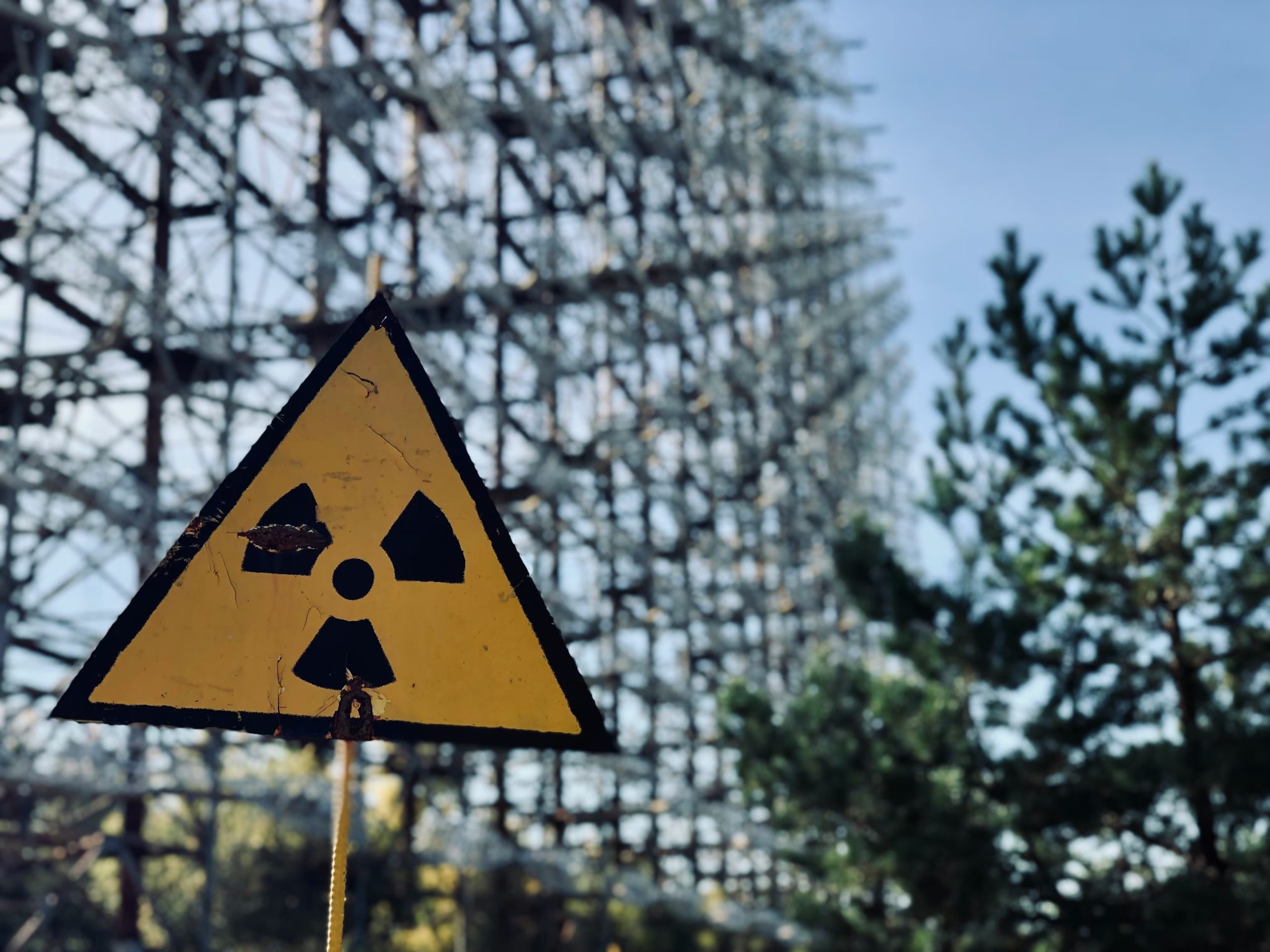 A finales de la década de 1990, un equipo encabezado por la microbióloga Nelli Zhdanova investigó vida en el refugio del reactor destruido (Unplash)