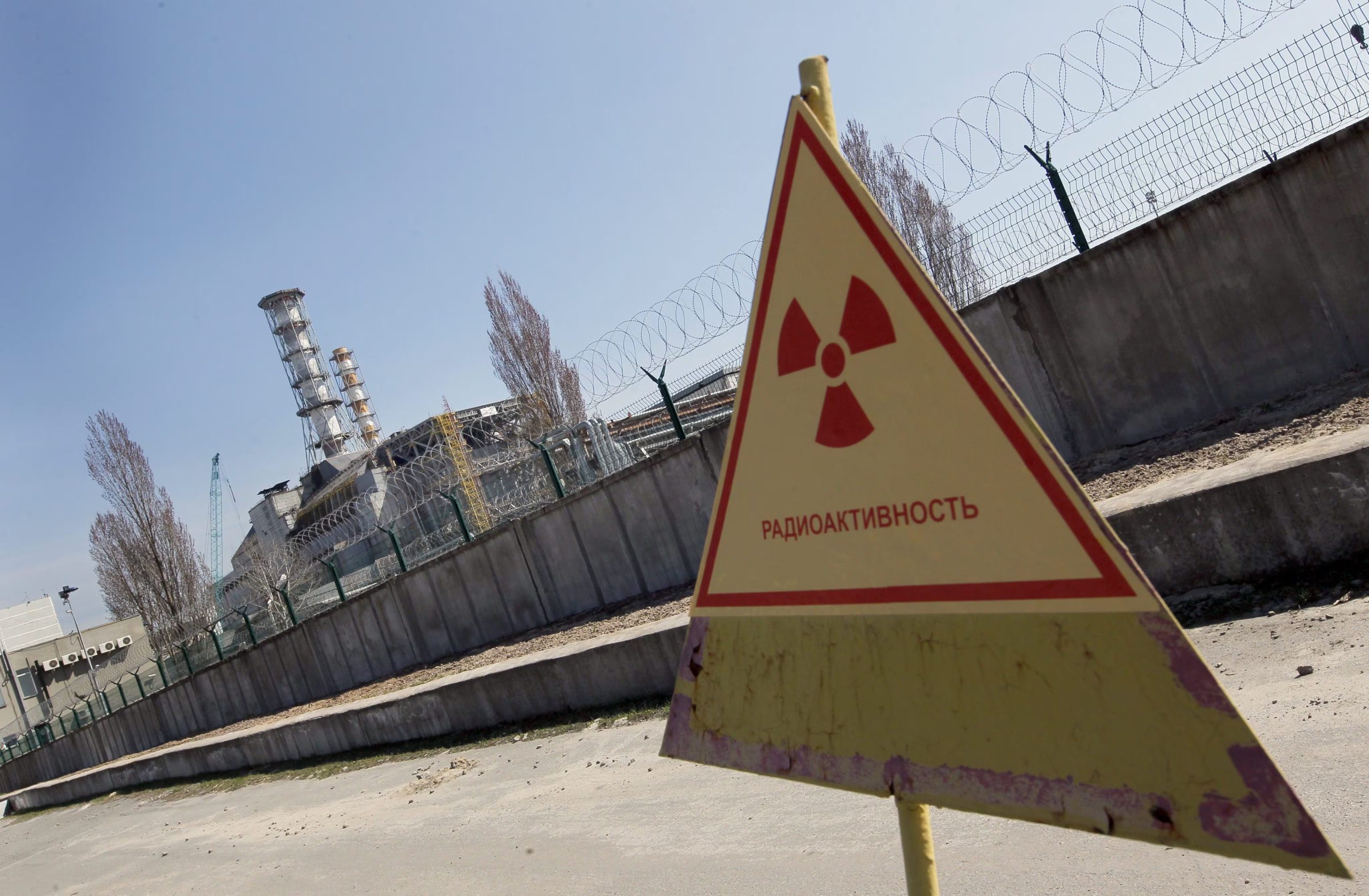 Experimentos posteriores indicaron que la radiación ionizante no dañó al hongo como a otros organismos (Efe)