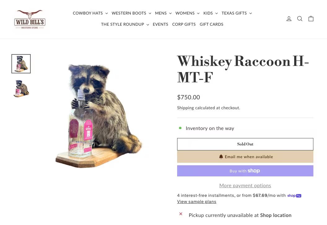 El mapache disecado que llevó Haaland sostenía una botella vacía de ginebra Greenall’s Wild Berry y dejó de figurar en el sitio web de Wild Bill’s Western Store, donde costaba USD 750