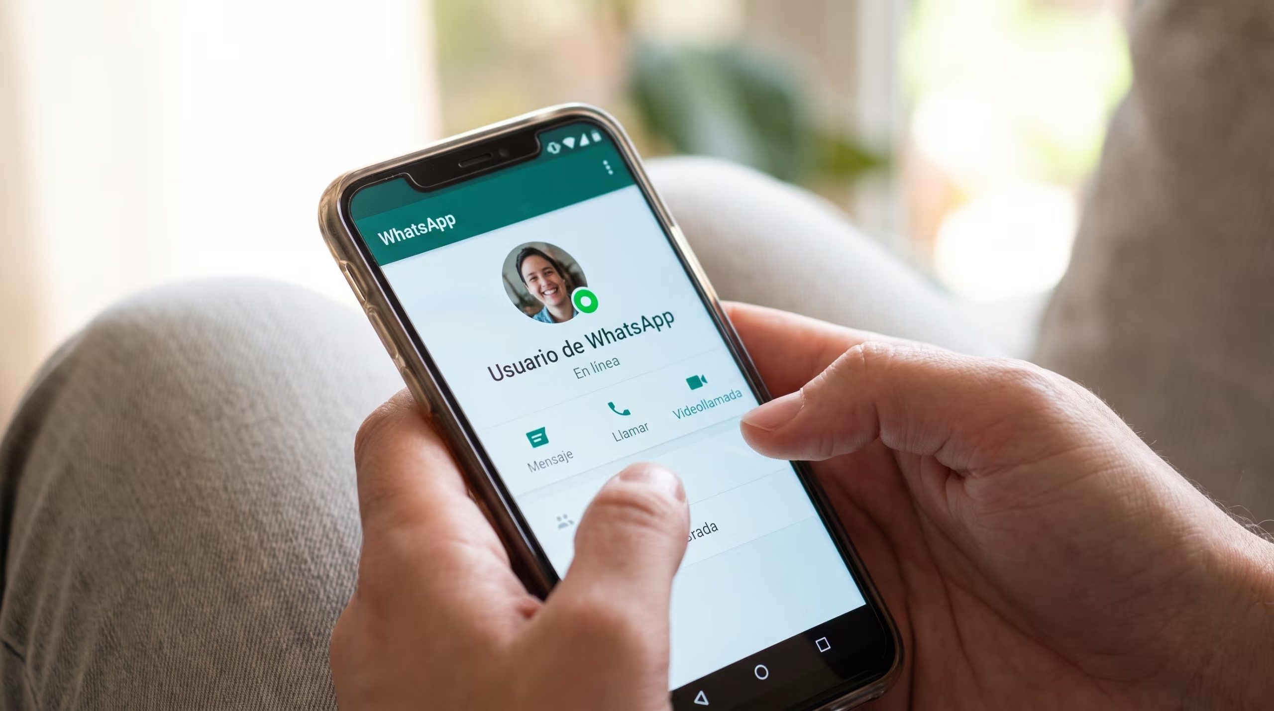El punto verde de WhatsApp reemplaza el texto “en línea” con una señal visual junto a la foto de perfil del contacto. (Imagen Ilustrativa Infobae)