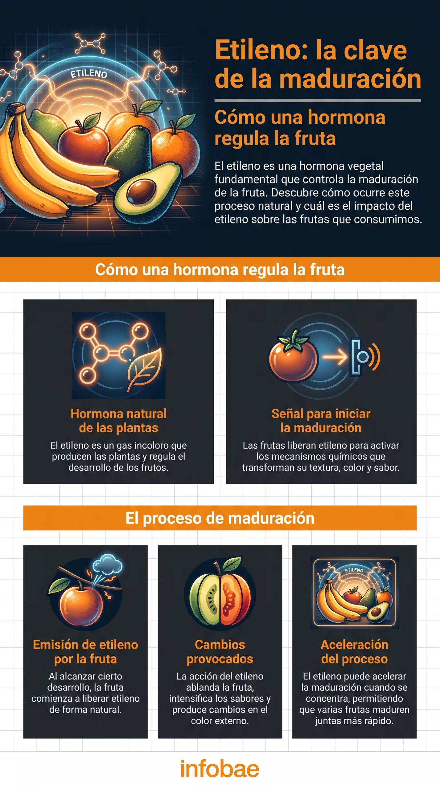 El uso de papel film extiende la vida útil de los plátanos y mantiene su sabor y textura por más tiempo - (Imagen Ilustrativa Infobae)