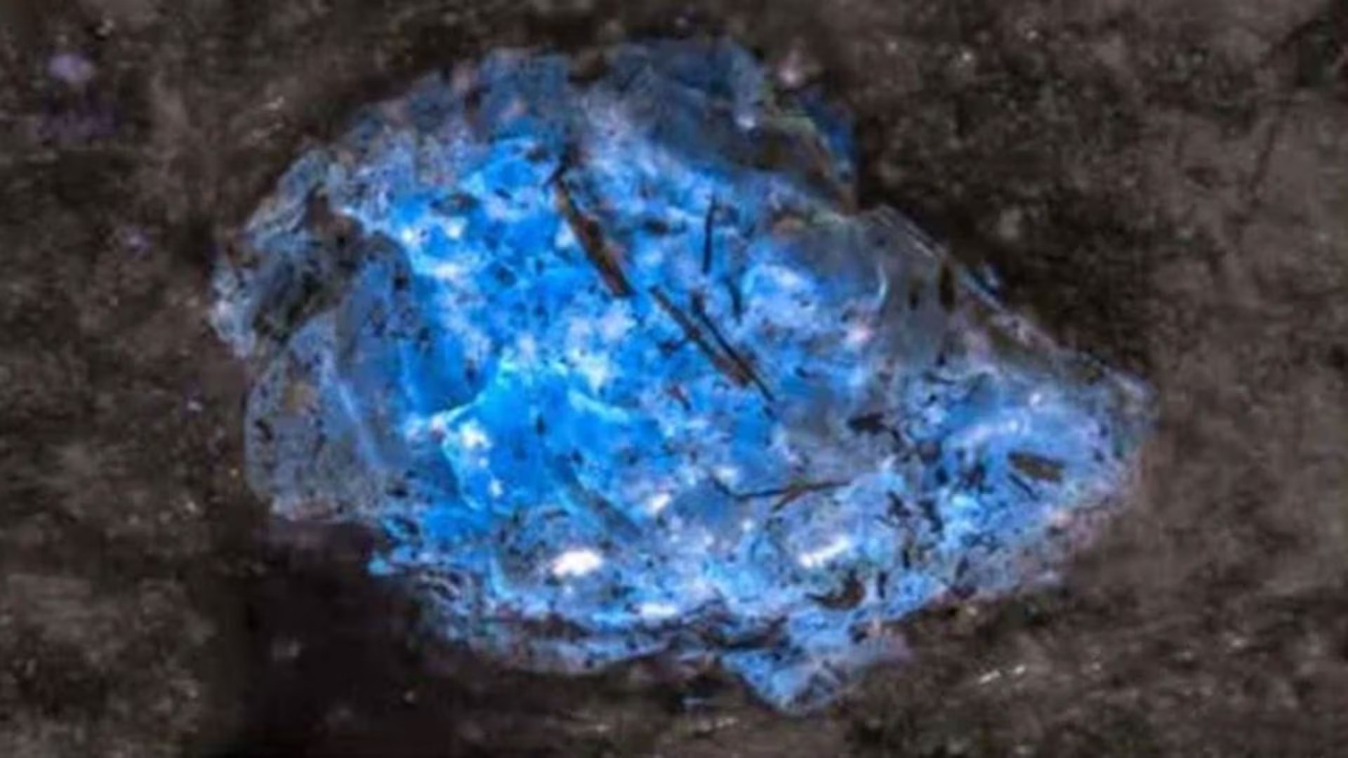 La identificación del ámbar se confirmó con luz ultravioleta, análisis ópticos, espectroscopía infrarroja y espectrometría de masas./Science Advances