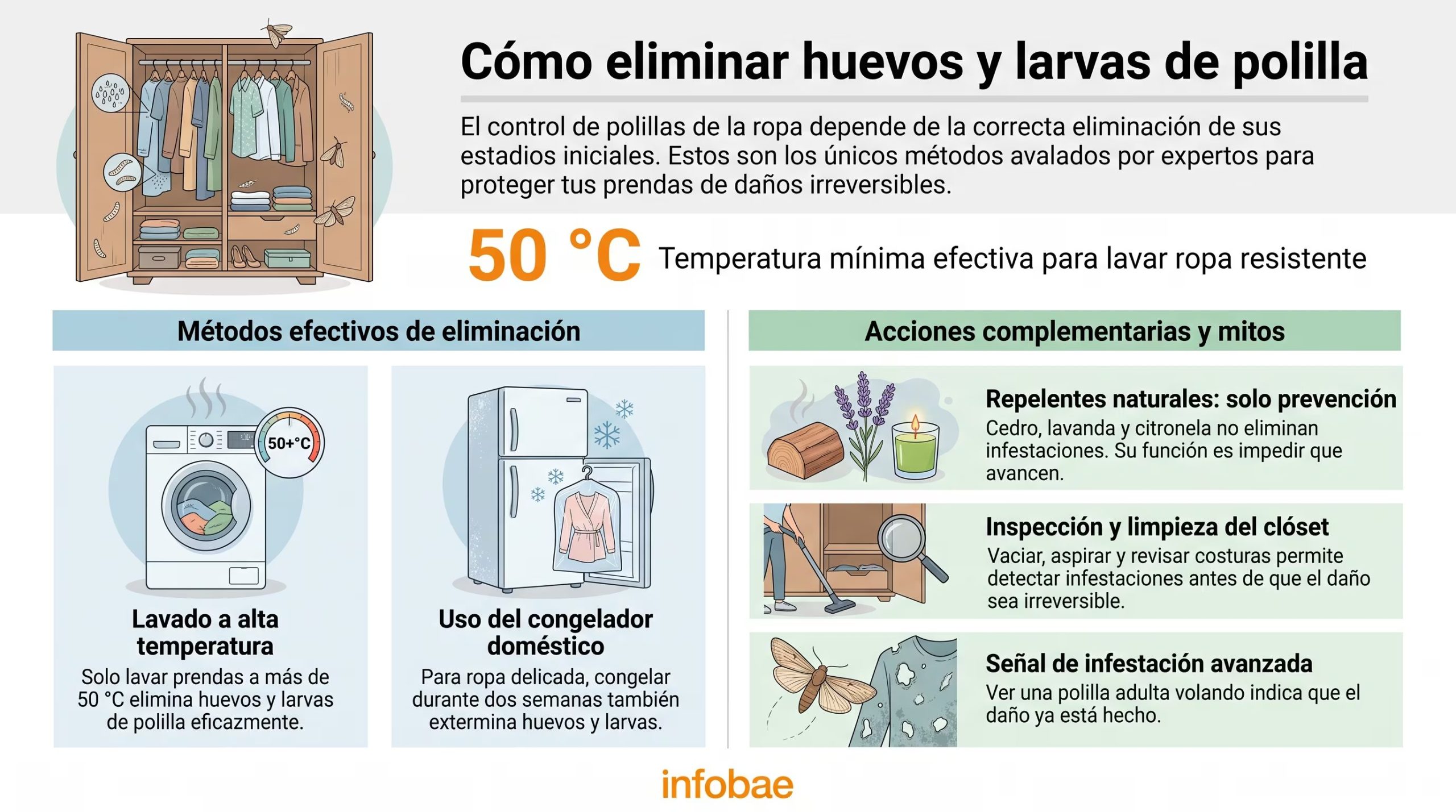 Una infografía detalla los métodos efectivos para eliminar huevos y larvas de polilla de la ropa, como el lavado a más de 50°C o la congelación, según recomendaciones de instituciones de Estados Unidos. (Imagen Ilustrativa Infobae)