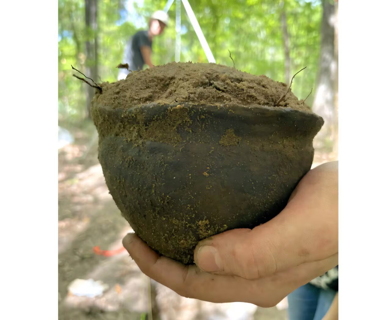 Estudiantes de la Universidad de Florida desenterraron la vasija durante prácticas de campo arqueológico en el yacimiento (Gifford Waters)