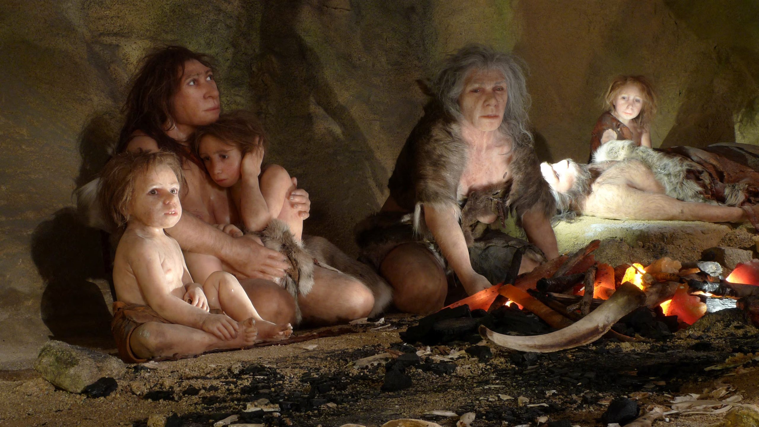 El registro fósil de neandertales menores de dos años es escaso y dificulta reconstruir cómo se desarrollaban en sus primeros meses de vida./Archivo REUTERS/Nikola Solic