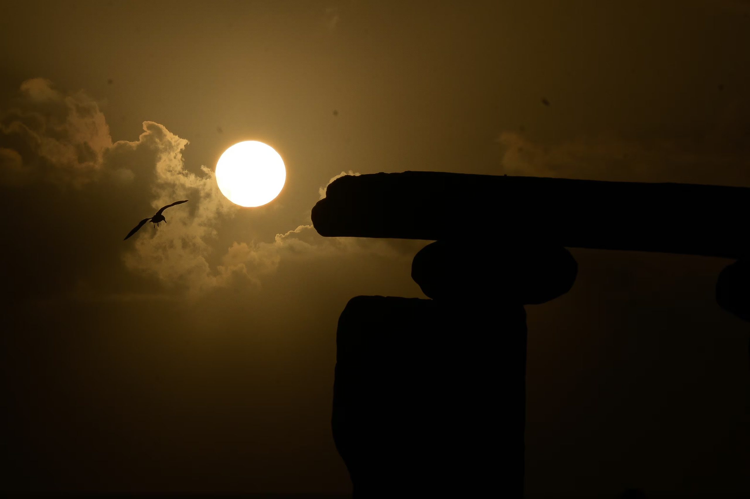 Un eclipse solar total que recorrió América del Norte en 2024 se ha podido ver parcialmente desde Galicia y Canarias (M. Dylan / Europa Press)