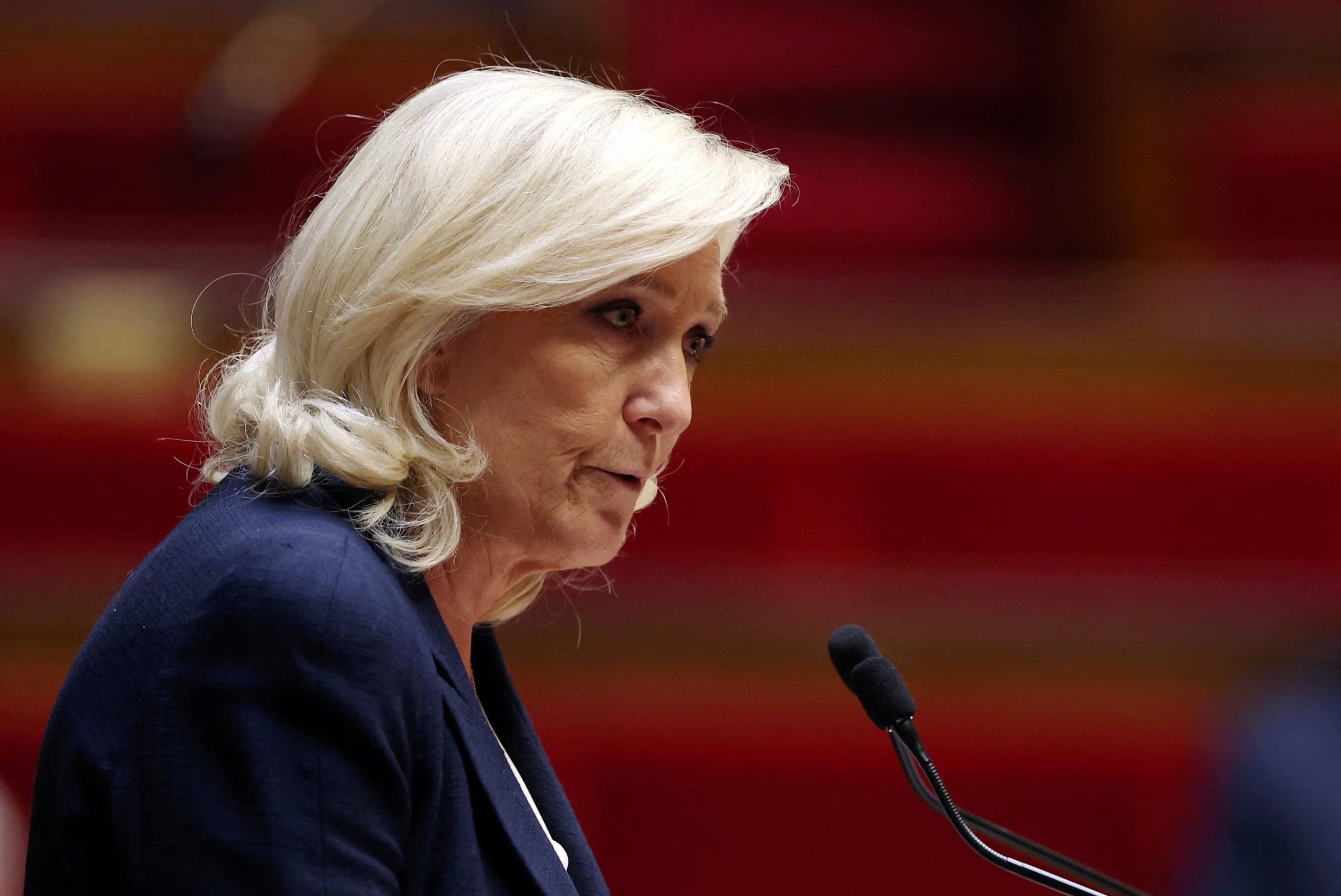 Le Pen calificó el proceso como una 