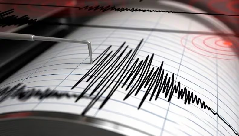 Los sensores Raspberry Shake instalados cerca del Coloso de Santa Úrsula captan una señal artificial al momento de la anotación ante Ecuador, mientras equipos en CDMX y Guadalajara también registran ondas superficiales tras el festejo. (Cortesía: Imagen Ilustrativa Infobae)