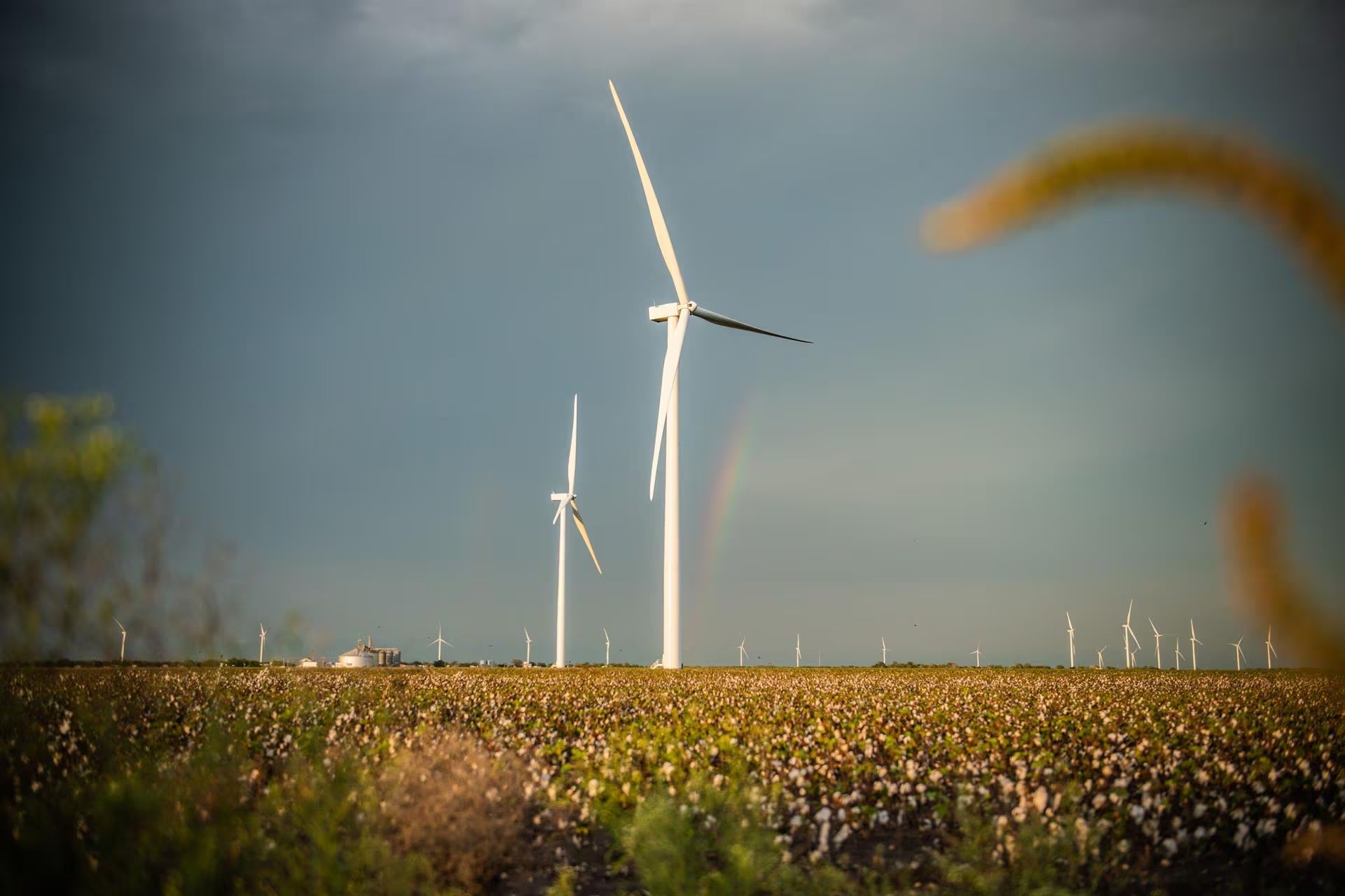 La disputa energética enfrenta a las tecnológicas con empresas eléctricas monopólicas mientras la energía eólica y solar no cubre la nueva demanda de la red (Europa Press)