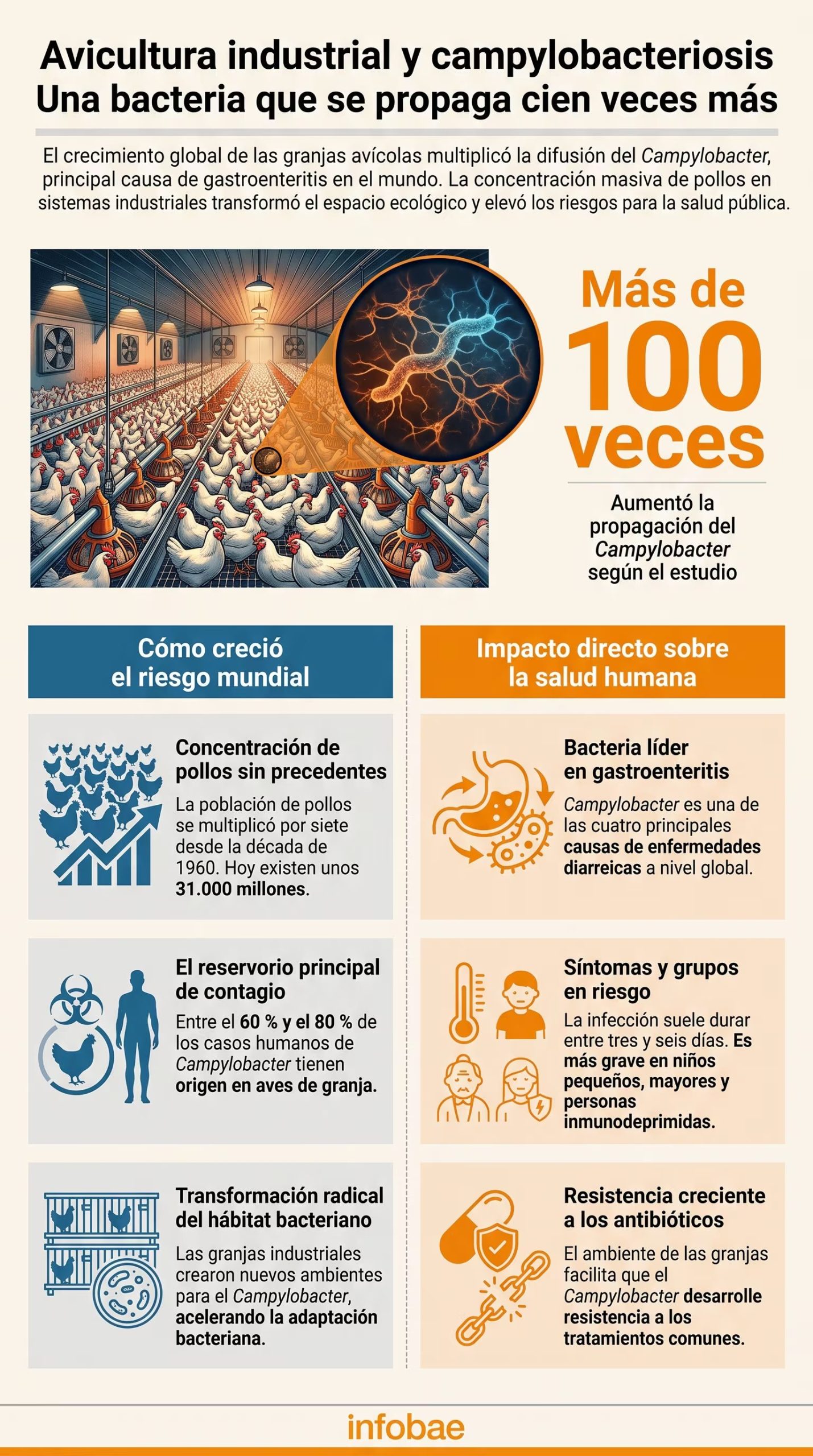 La avicultura industrial ha multiplicado la difusión de la bacteria Campylobacter, principal causa de gastroenteritis, en un proceso que transforma el espacio ecológico y eleva riesgos para la salud. (Imagen Ilustrativa elyex)