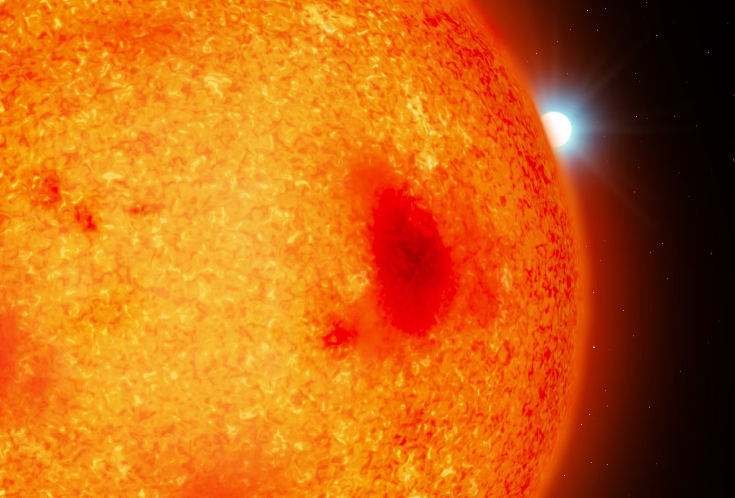 Las enanas blancas son los núcleos remanentes de estrellas como el Sol, que al agotar su combustible expulsan sus capas externas y colapsan hasta comprimir una masa comparable a la solar en un volumen similar al de la Tierra (Mark A. Garlick)