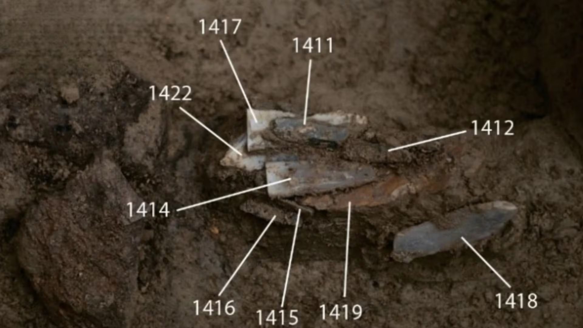 Conjunto de herramientas hallado por los investigadores. (Journal of Paleolithic Archaeology)