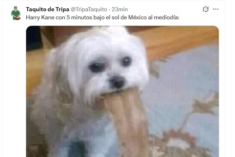 (X)