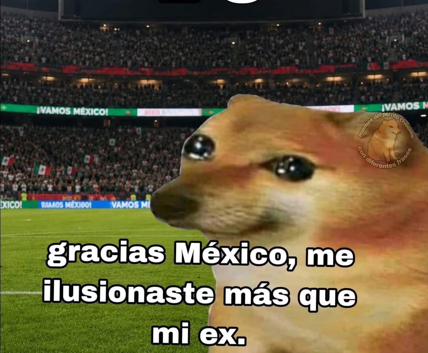 (Redes sociales)