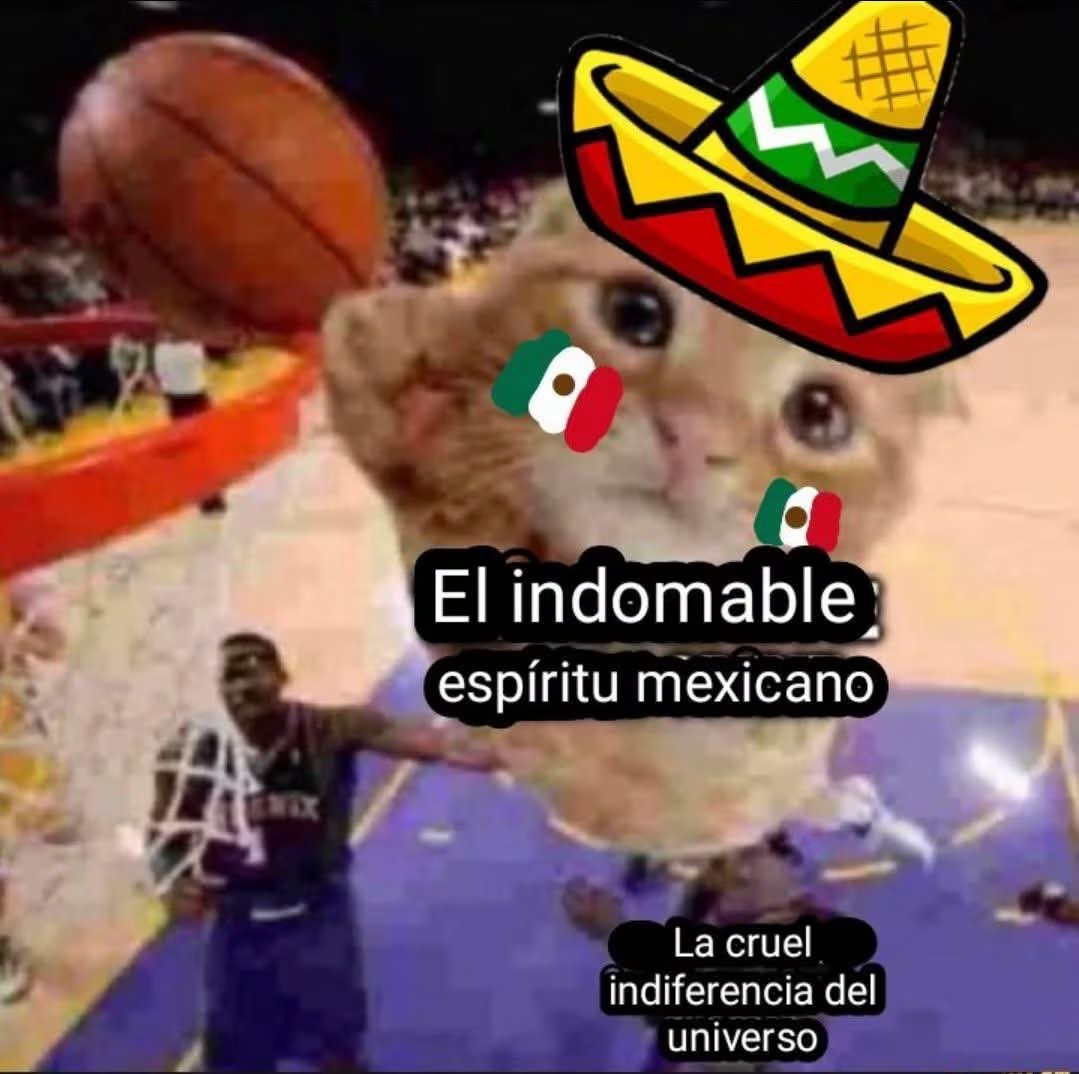 (Redes sociales)